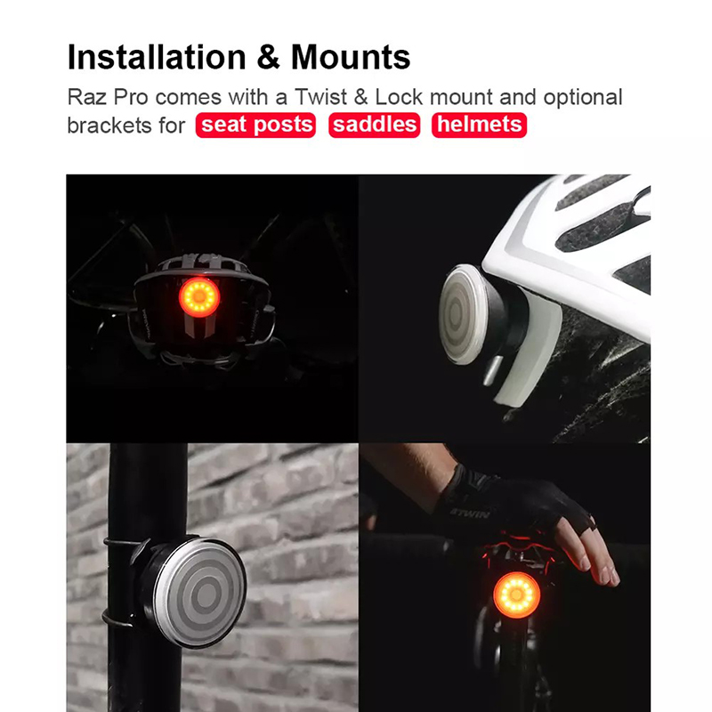 SHANREN RAZ Pro Bicycle Tail L - Cycling Gear Charging Station 评论和价格